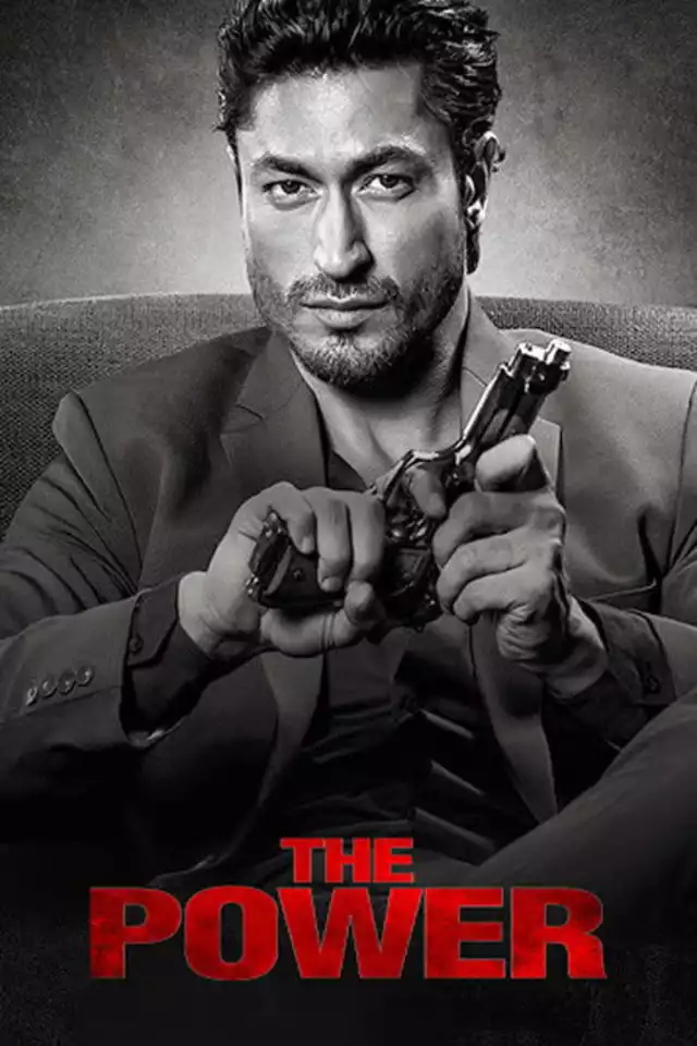 movie vertical poster fallback