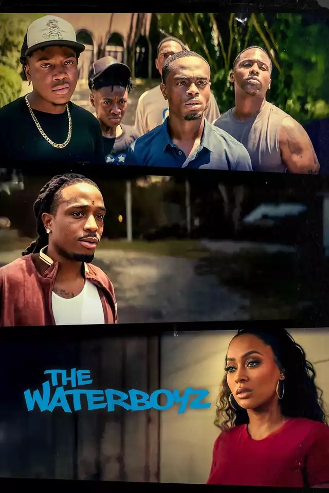 movie vertical poster fallback
