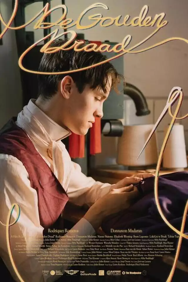 movie vertical poster fallback