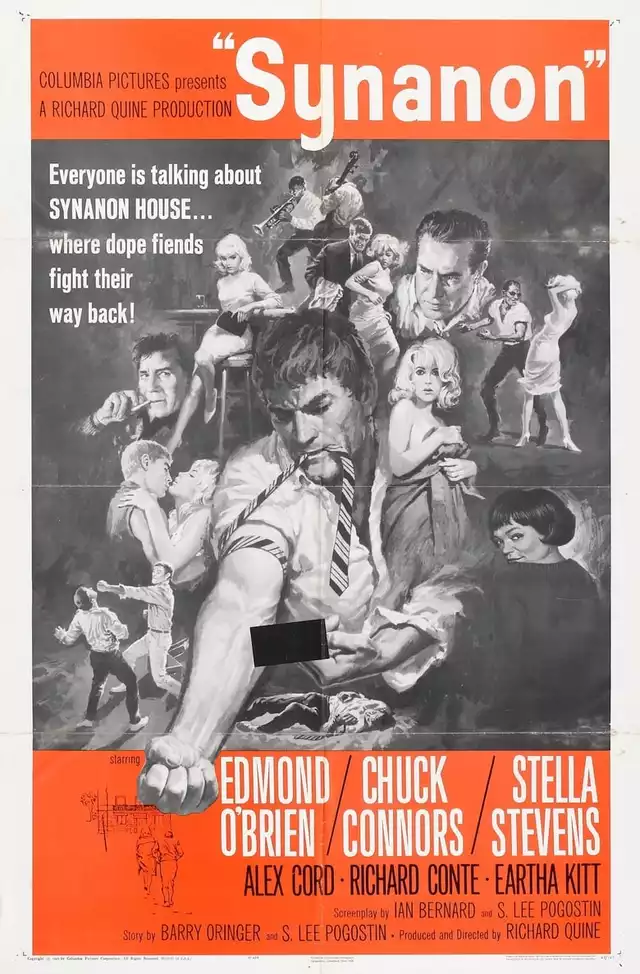 movie vertical poster fallback