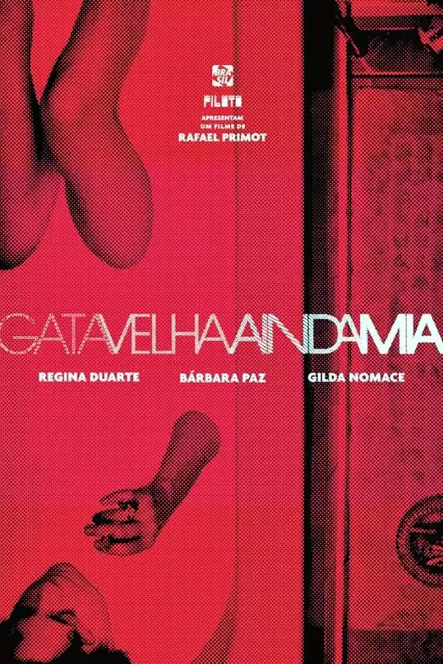 movie vertical poster fallback