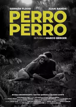 Perro perro