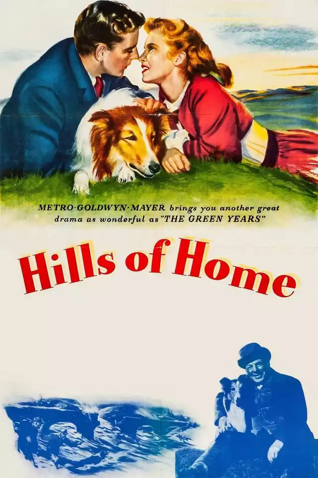 movie vertical poster fallback