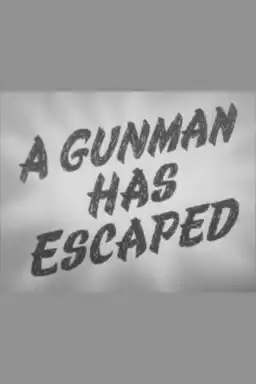 A Gunman Has Escaped