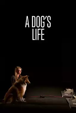 A Dog's Life