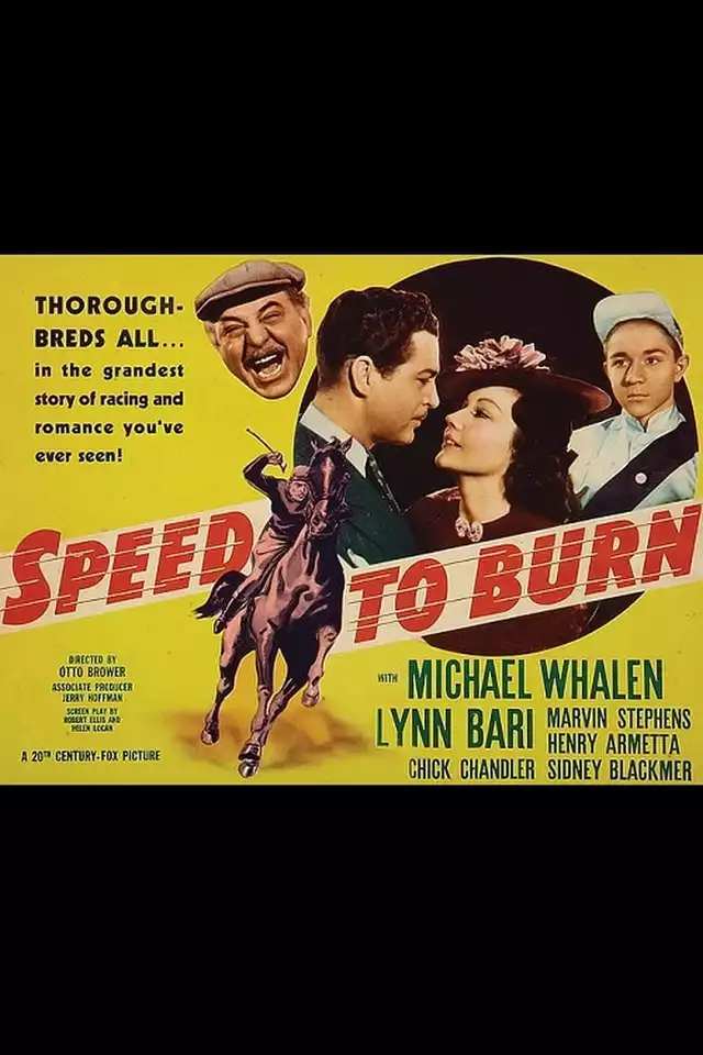 movie vertical poster fallback
