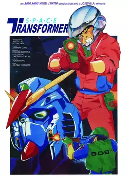 Space Transformer