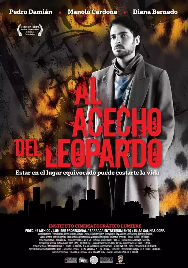 movie vertical poster fallback