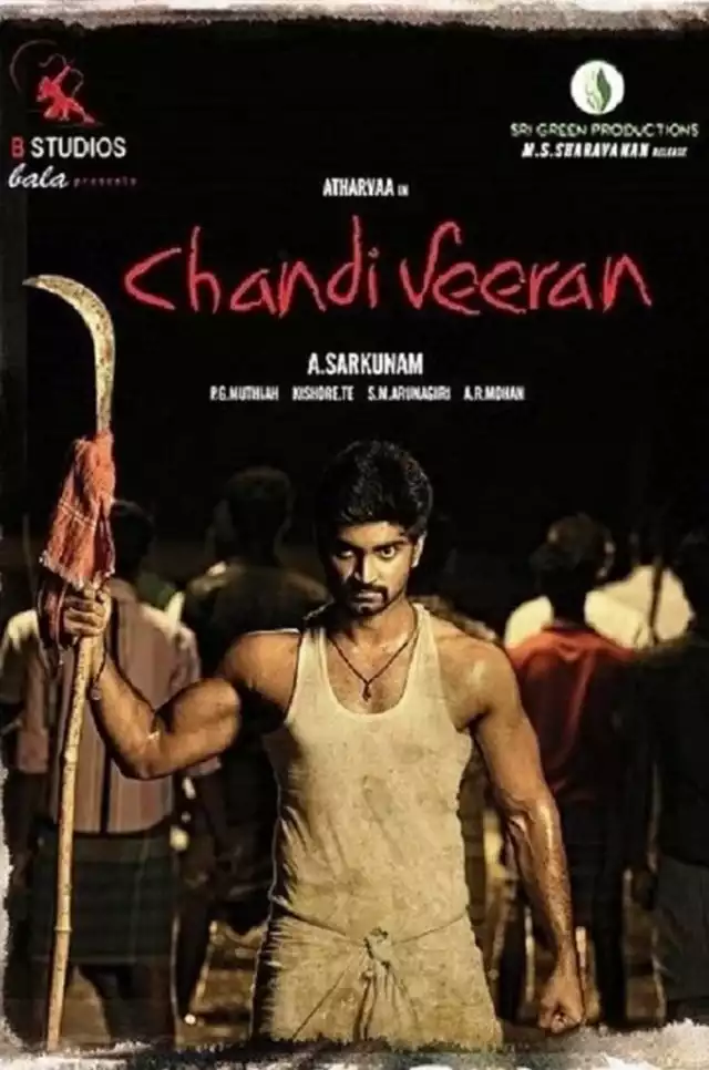 movie vertical poster fallback