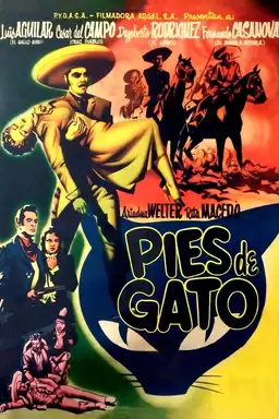 Pies de gato