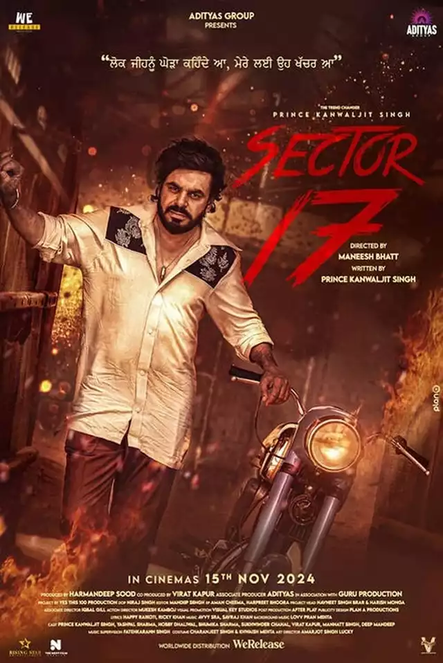 movie vertical poster fallback