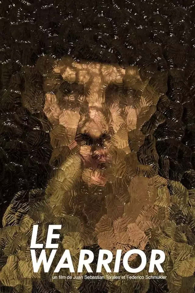 movie vertical poster fallback