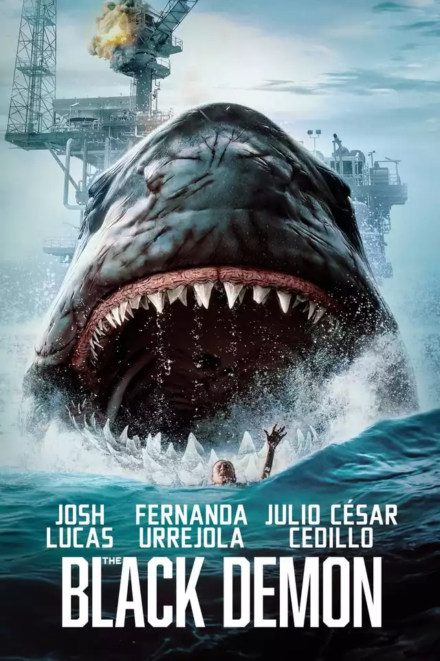 movie vertical poster fallback