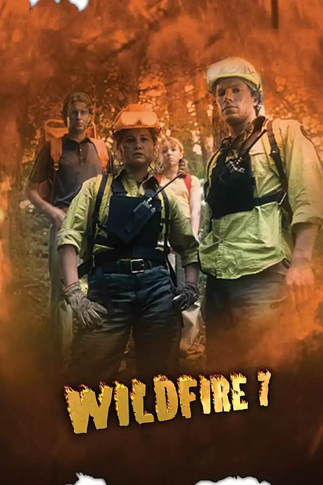 movie vertical poster fallback