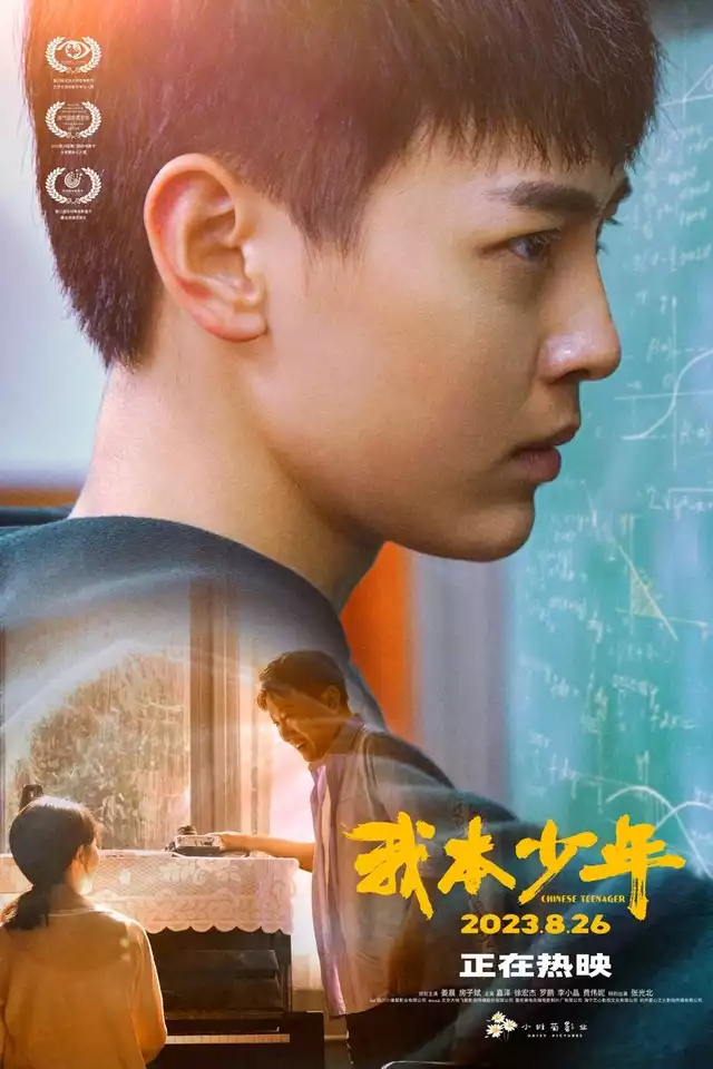 movie vertical poster fallback