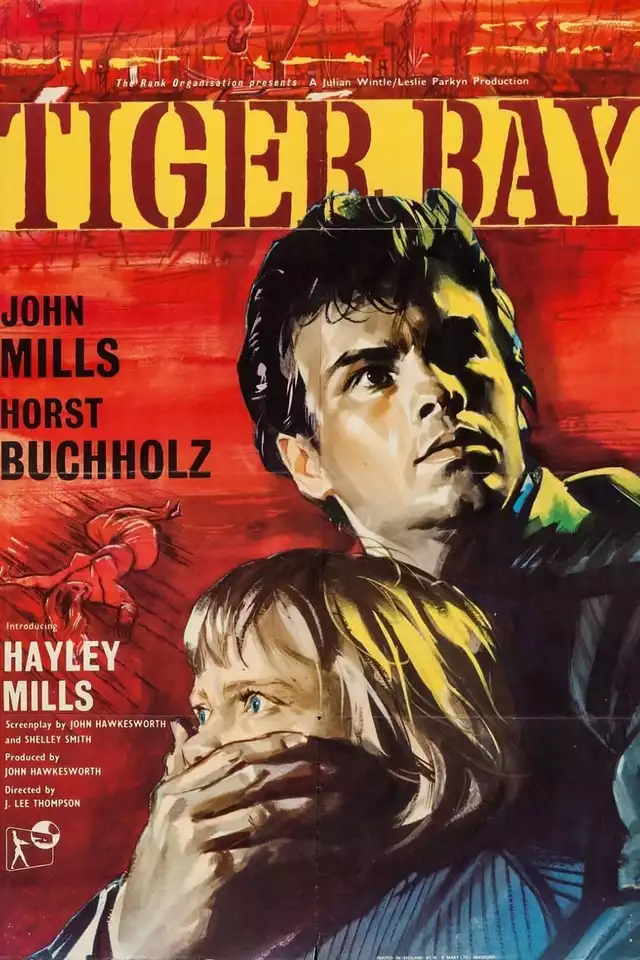 movie vertical poster fallback