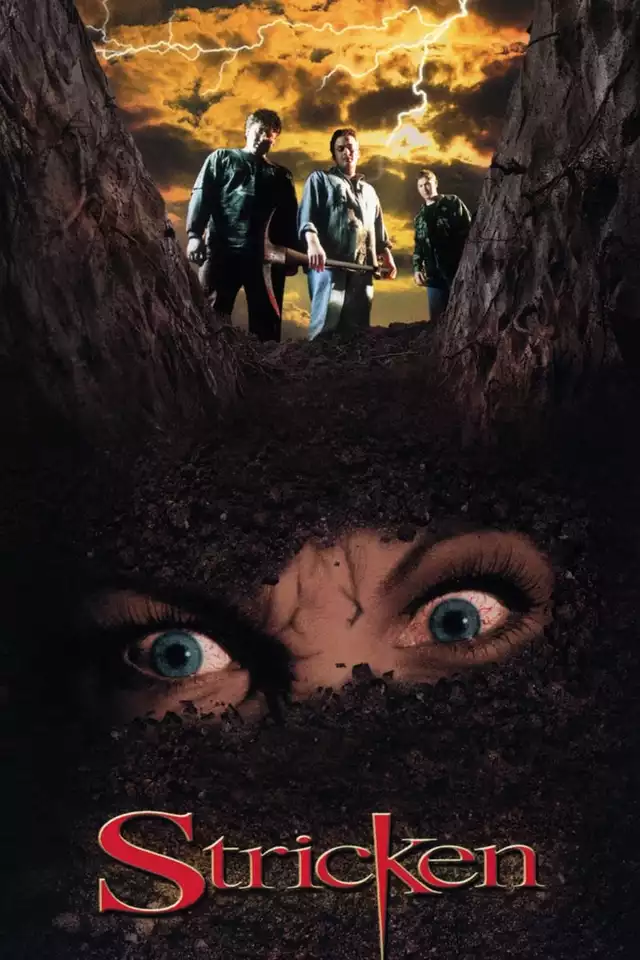 movie vertical poster fallback