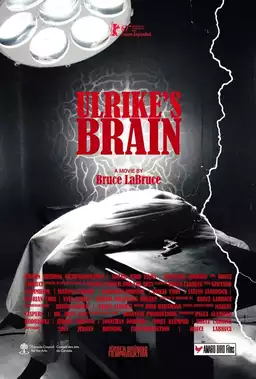 Ulrike's Brain