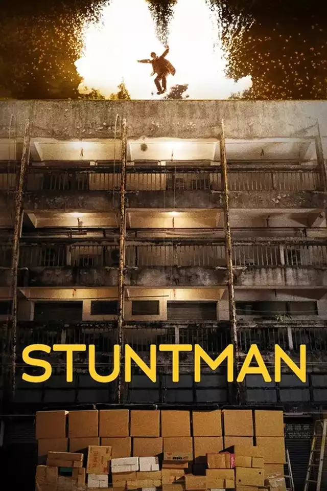 movie vertical poster fallback