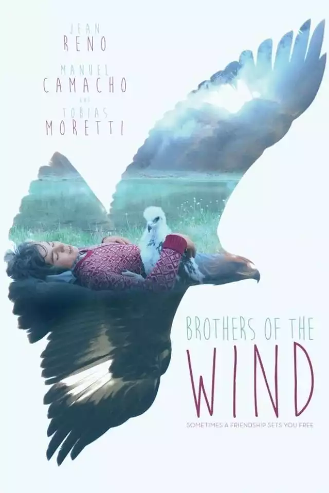 movie vertical poster fallback