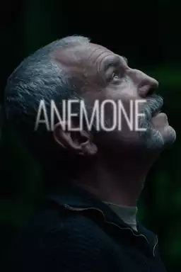 Anemone