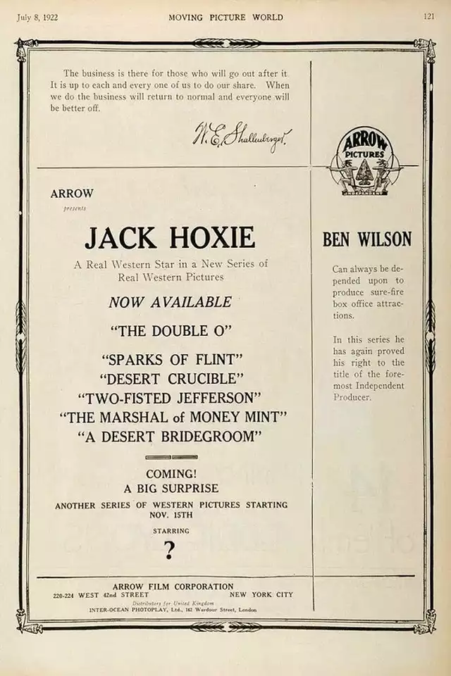 movie vertical poster fallback