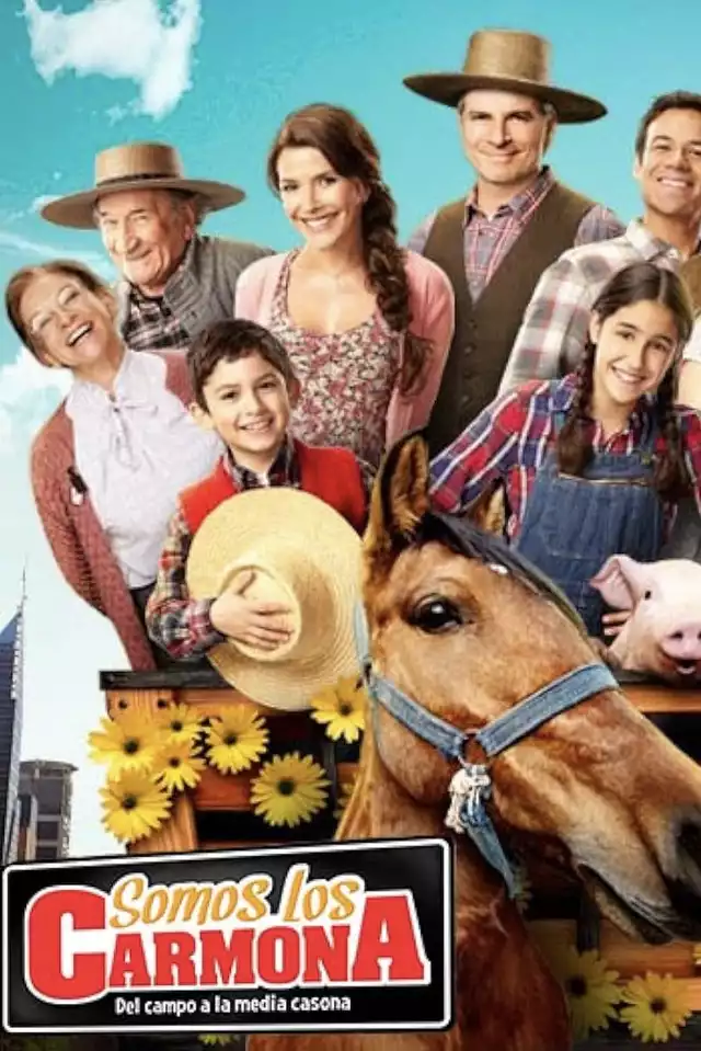 movie vertical poster fallback
