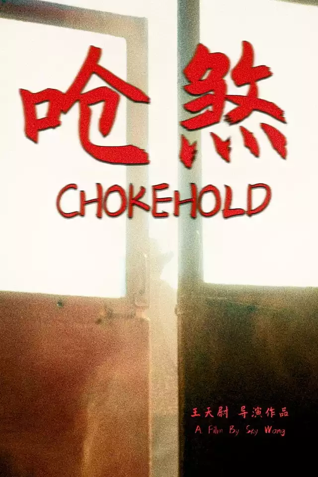 movie vertical poster fallback