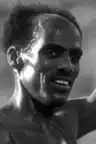 avatar fallback