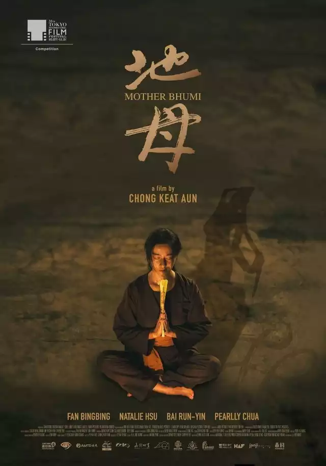 movie vertical poster fallback