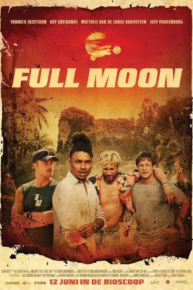 movie vertical poster fallback