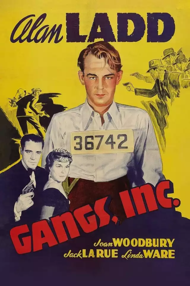 movie vertical poster fallback