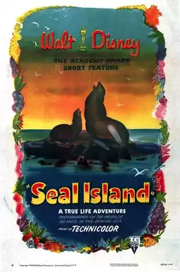 Seal Island