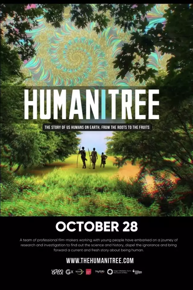 movie vertical poster fallback