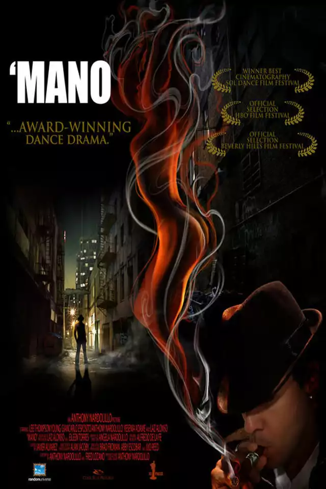 movie vertical poster fallback