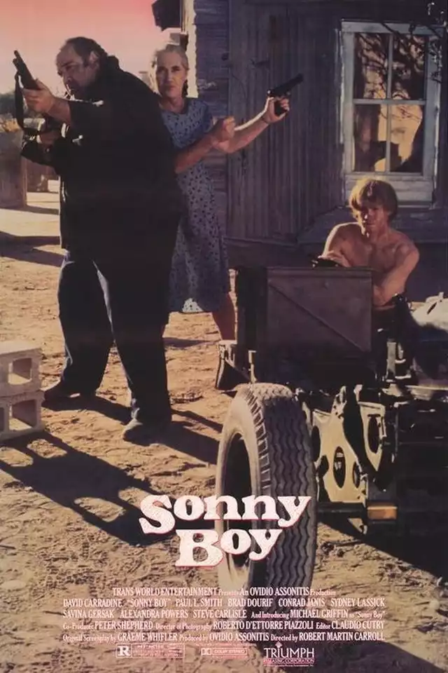 movie vertical poster fallback