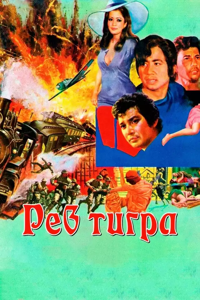 movie vertical poster fallback