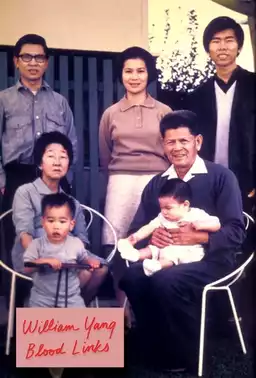 William Yang Blood Links