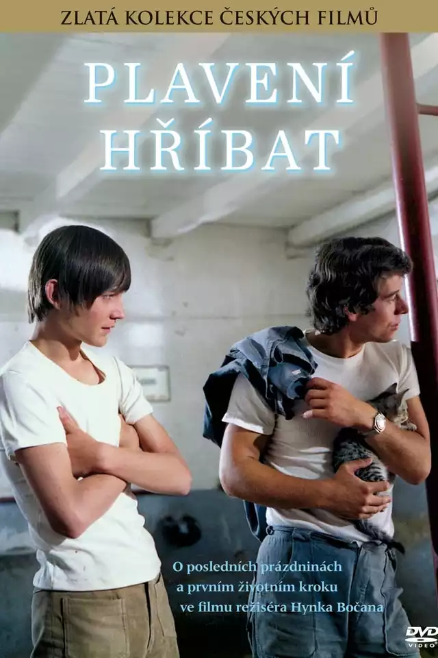 movie vertical poster fallback