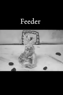 Feeder