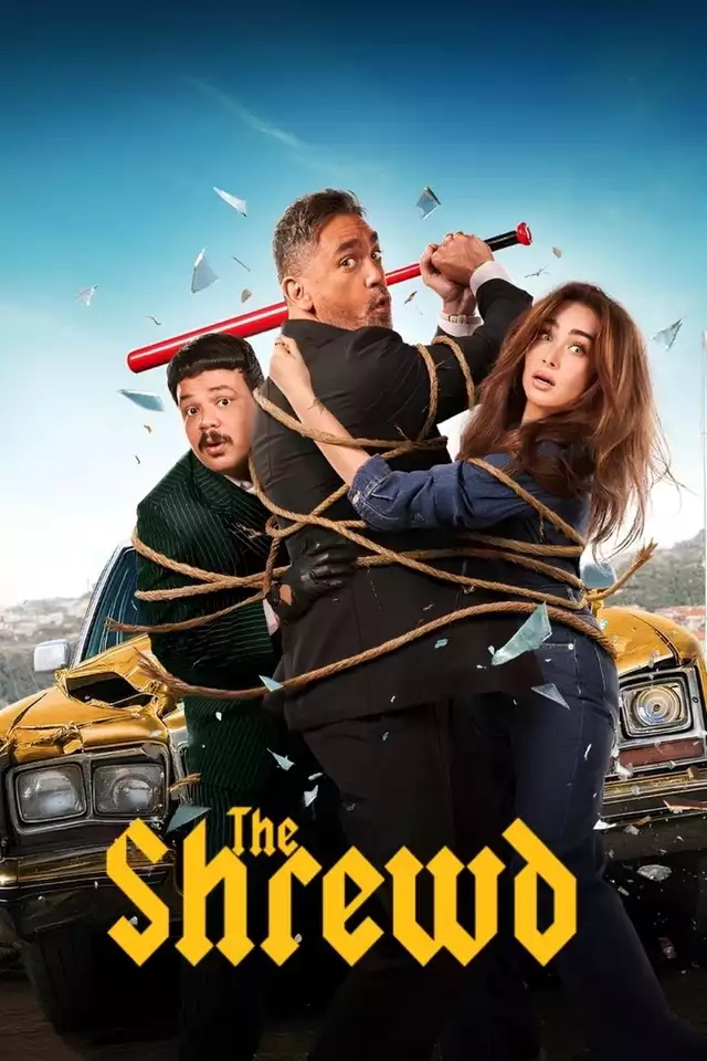 movie vertical poster fallback