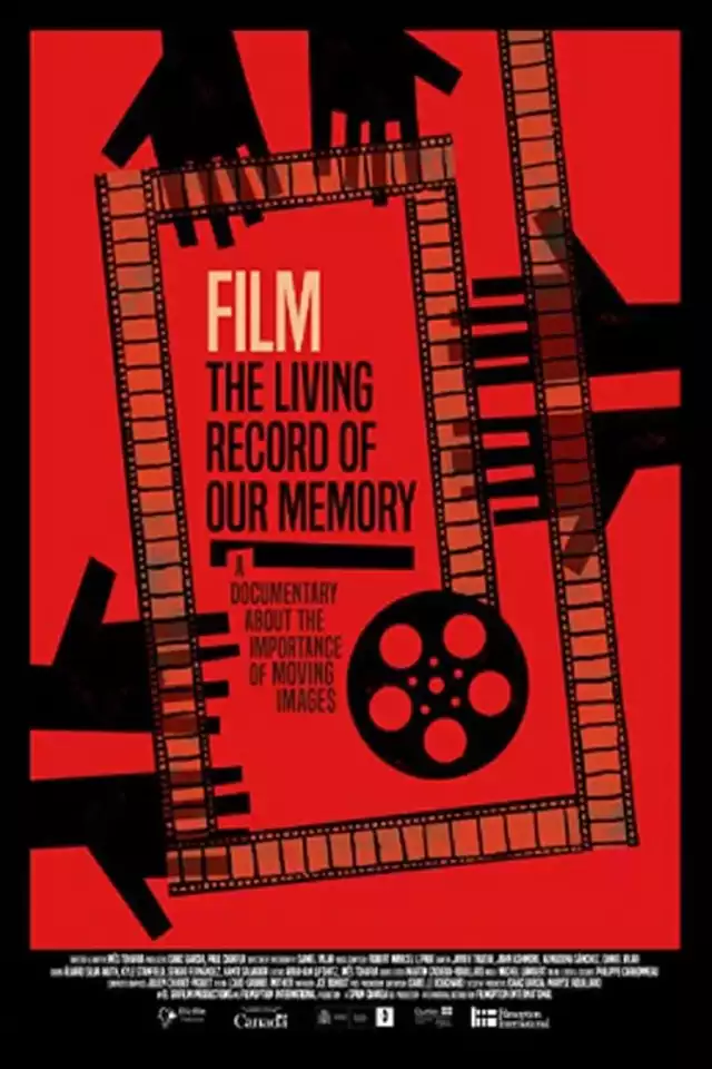 movie vertical poster fallback