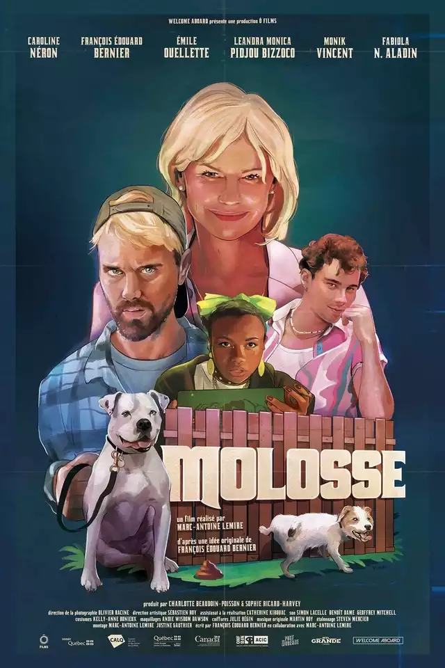 movie vertical poster fallback