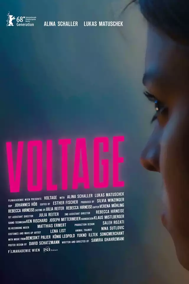 movie vertical poster fallback