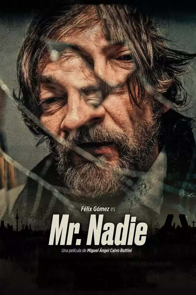 movie vertical poster fallback