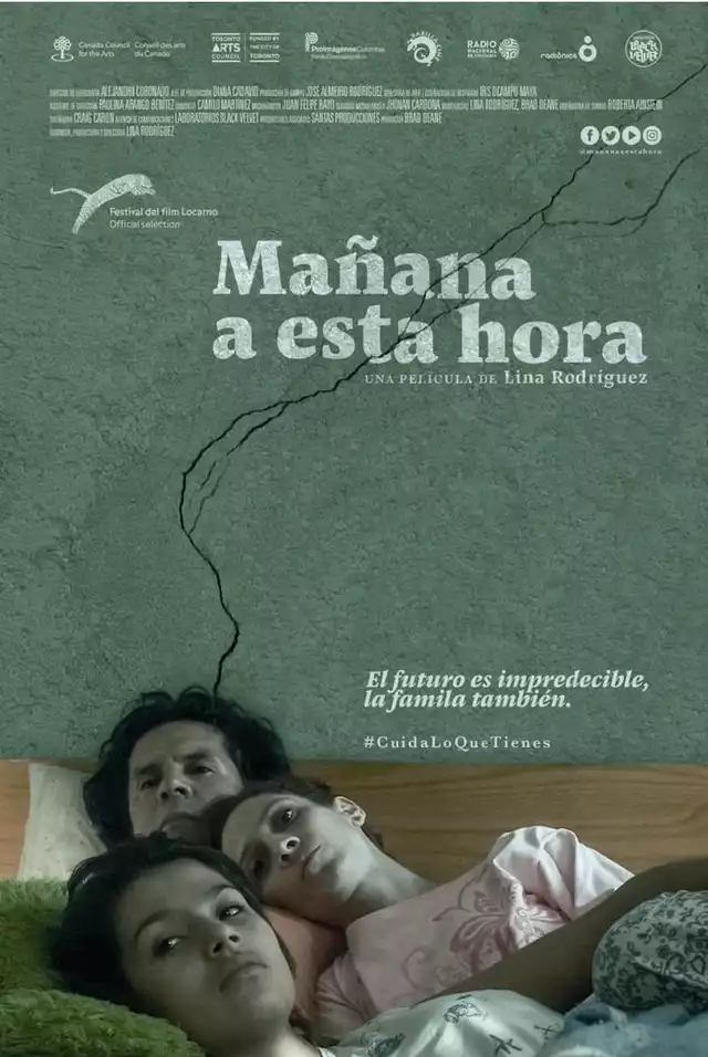 movie vertical poster fallback