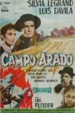 Campo arado