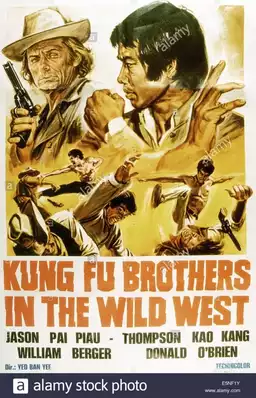 Kung Fu Brothers in the Wild West