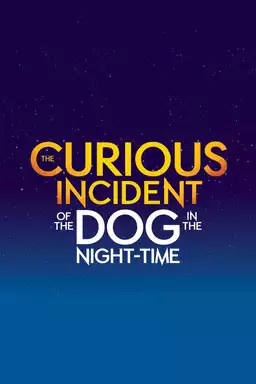 The Curious Incident of the Dog in the Night-Time