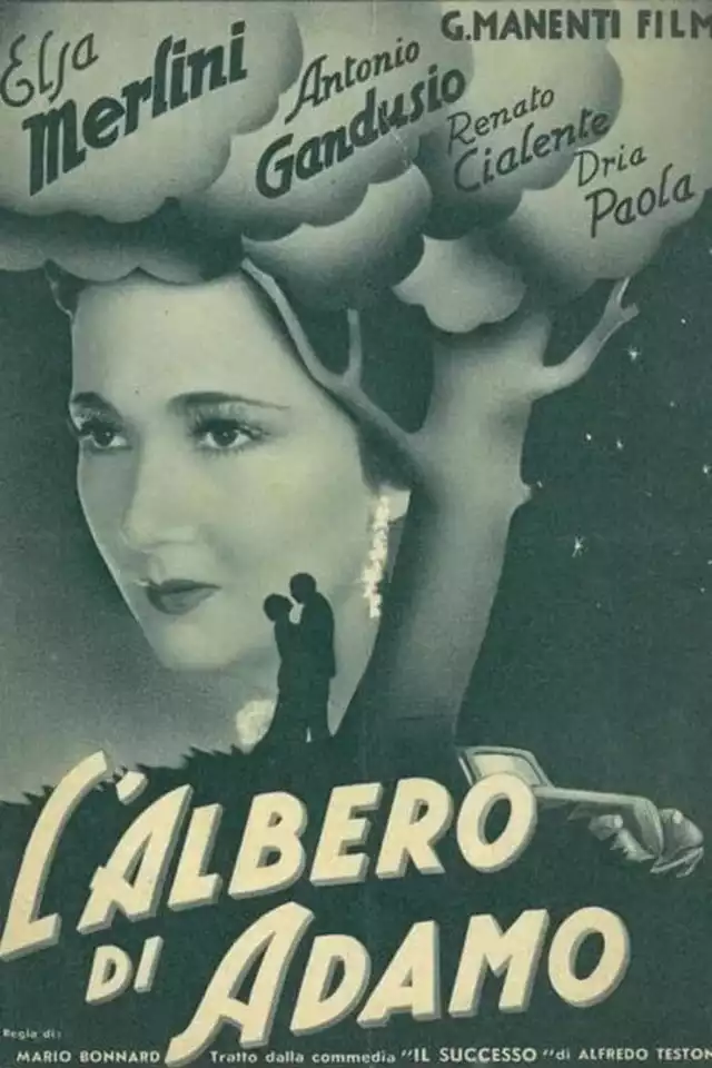 movie vertical poster fallback
